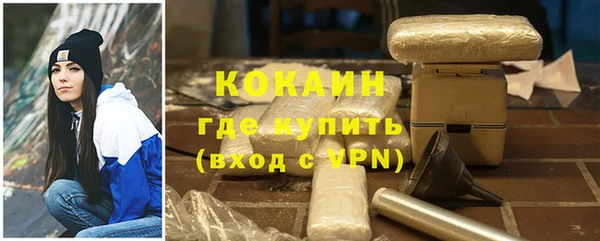 дмт Богданович