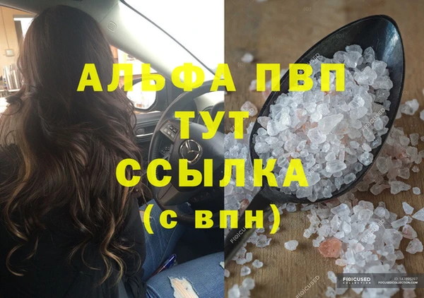 дмт Богданович