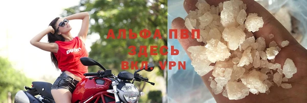 дмт Богданович