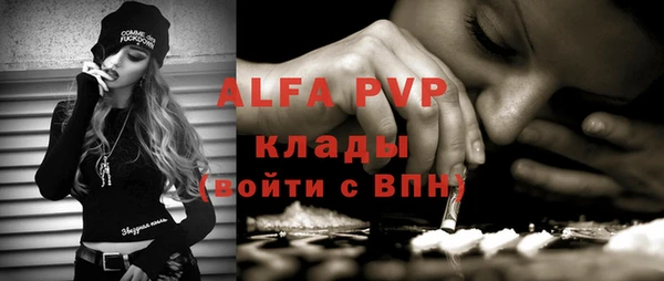 дмт Богданович