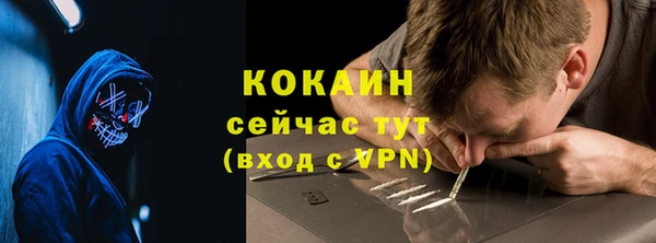 трава Богородицк