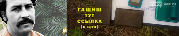 дмт Богданович