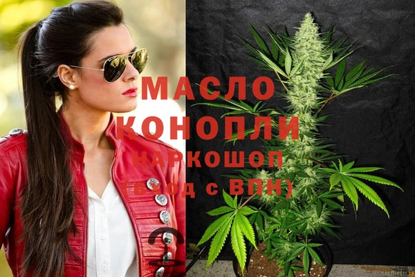 дмт Богданович