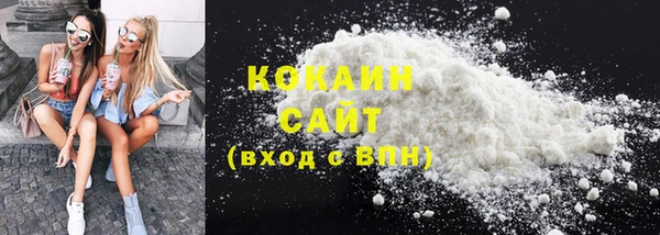 дмт Богданович