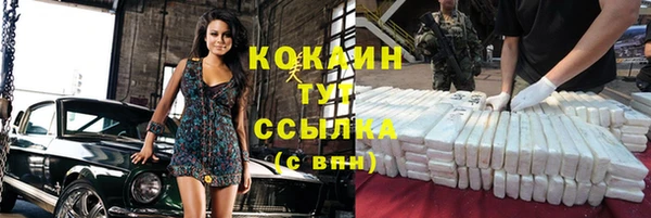 дмт Богданович