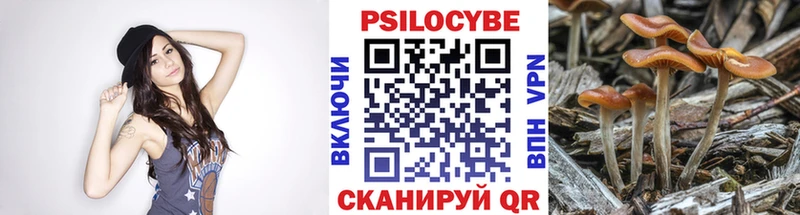 Галлюциногенные грибы MAGIC MUSHROOMS  Брянск 